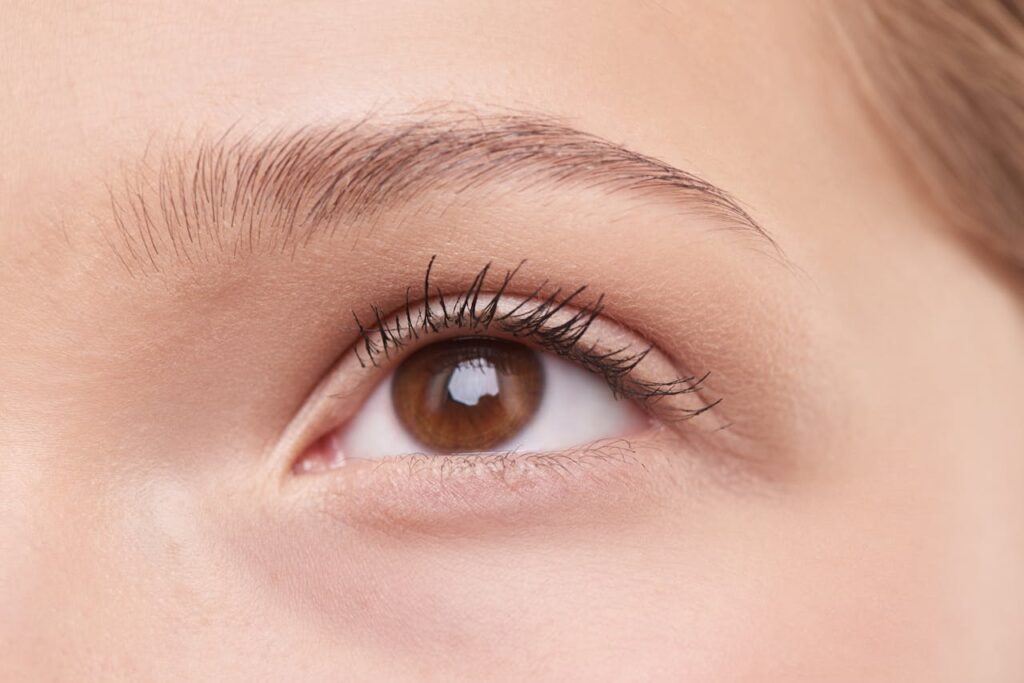 Nanobrows