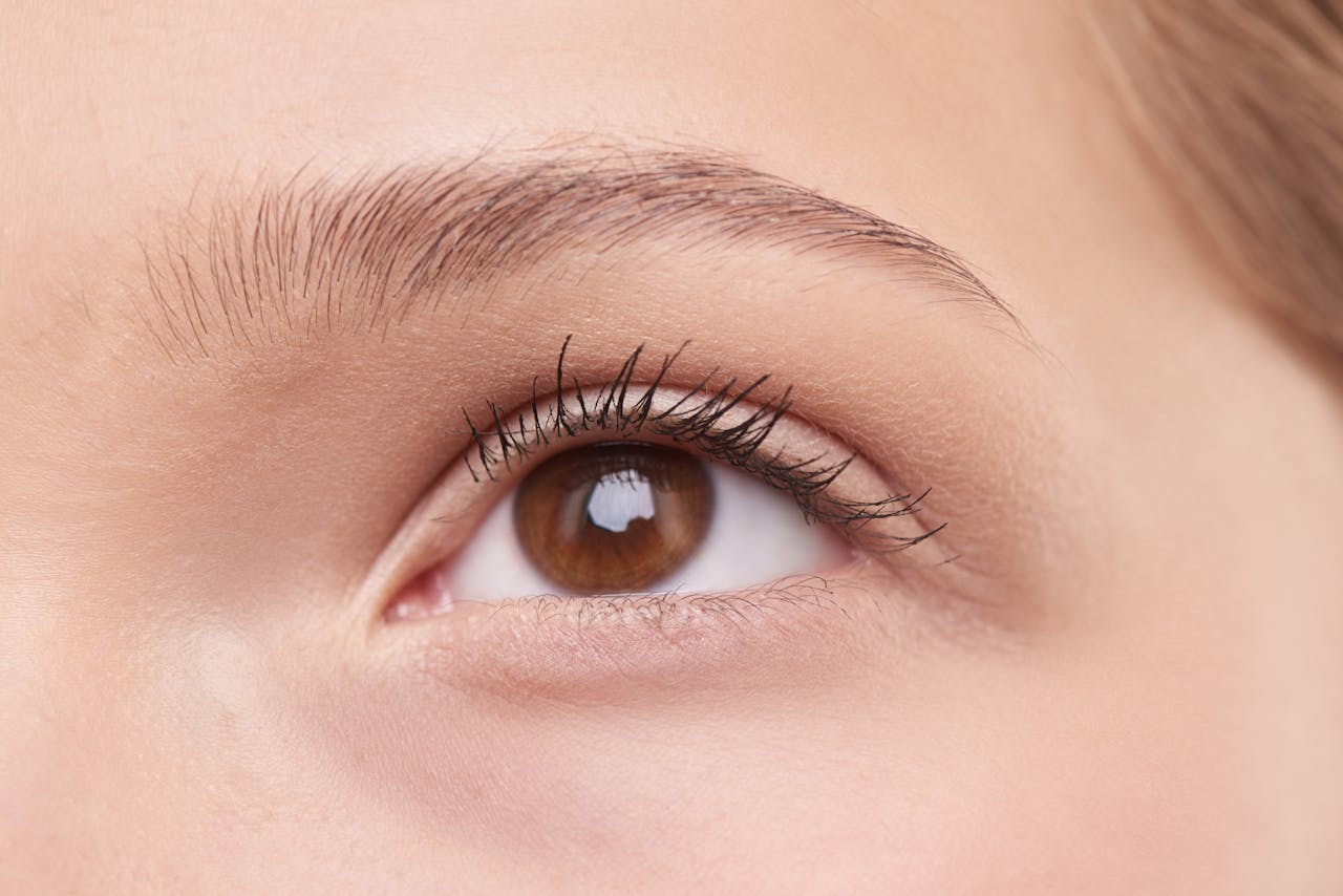 Nanobrows